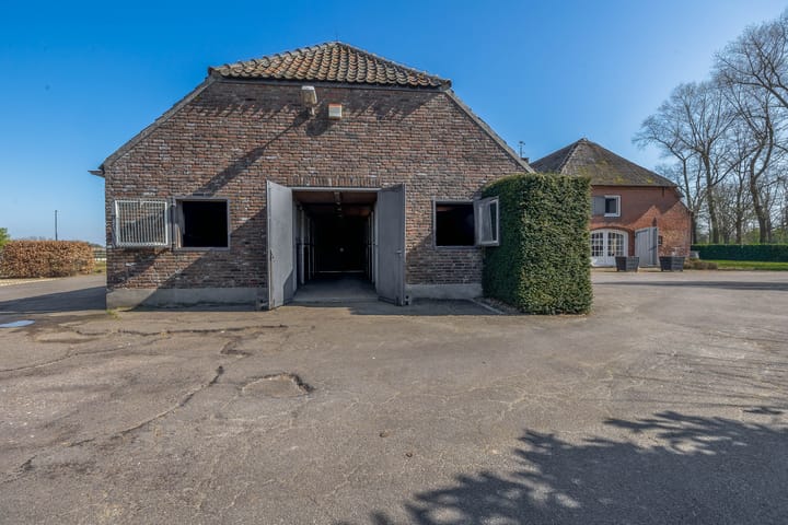 Foto 38 van Theereheide 6