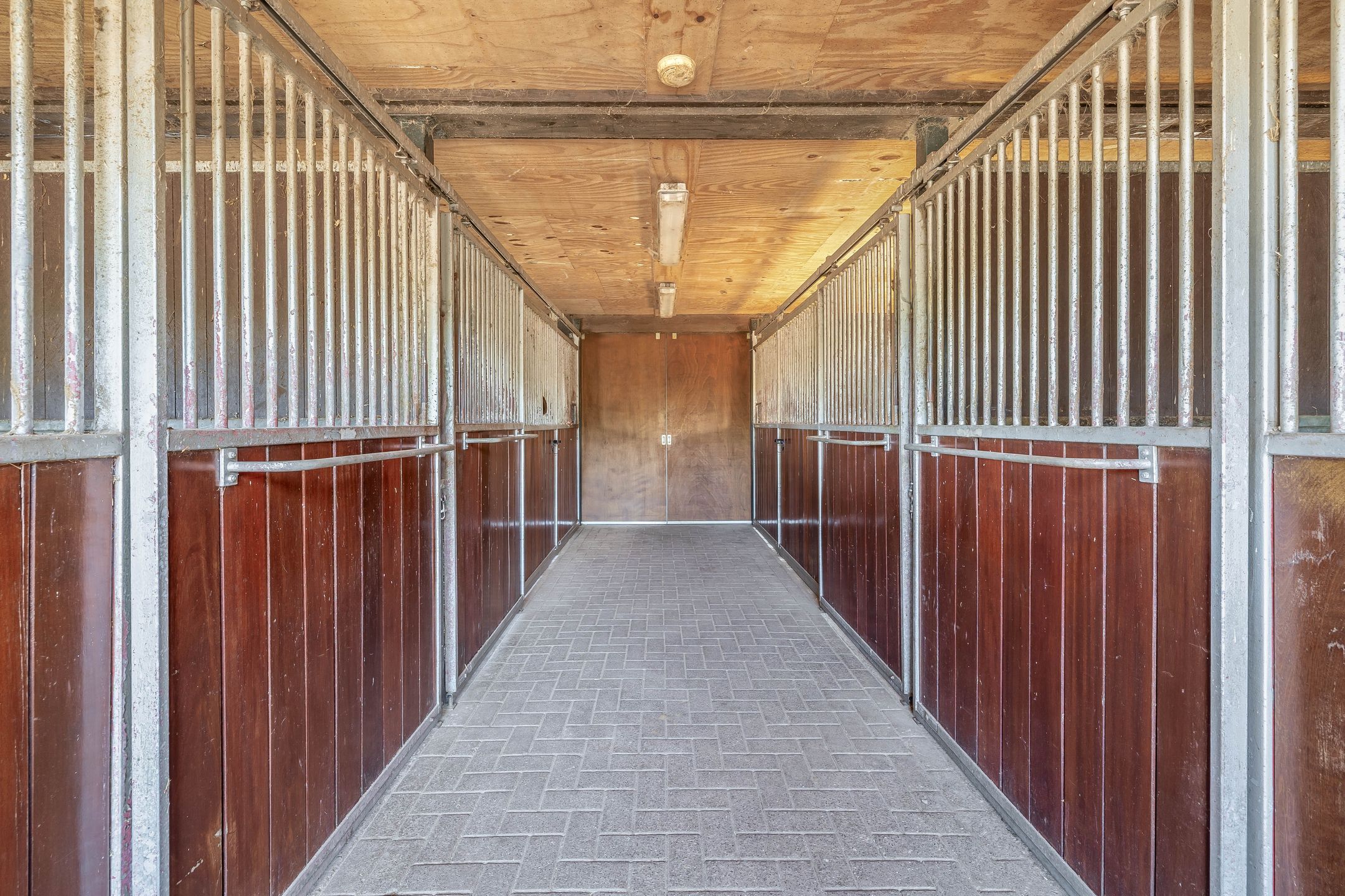 Foto 39 van Theereheide 6