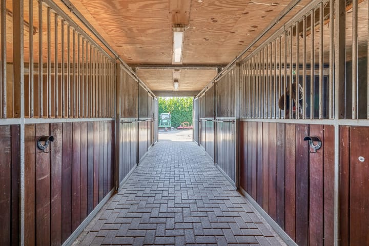 Foto 40 van Theereheide 6