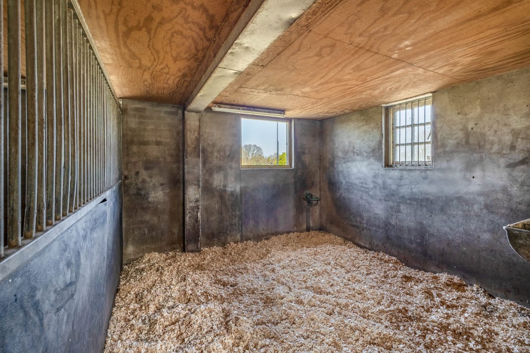 Foto 41 van Theereheide 6