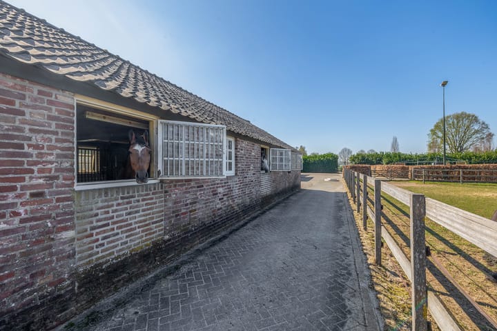 Foto 42 van Theereheide 6