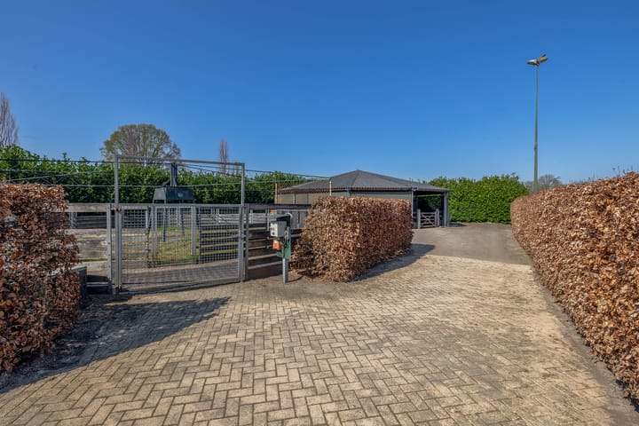 Foto 46 van Theereheide 6