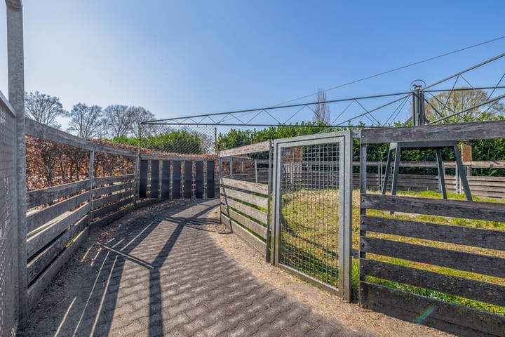 Foto 47 van Theereheide 6