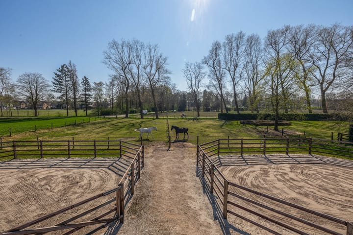 Foto 49 van Theereheide 6