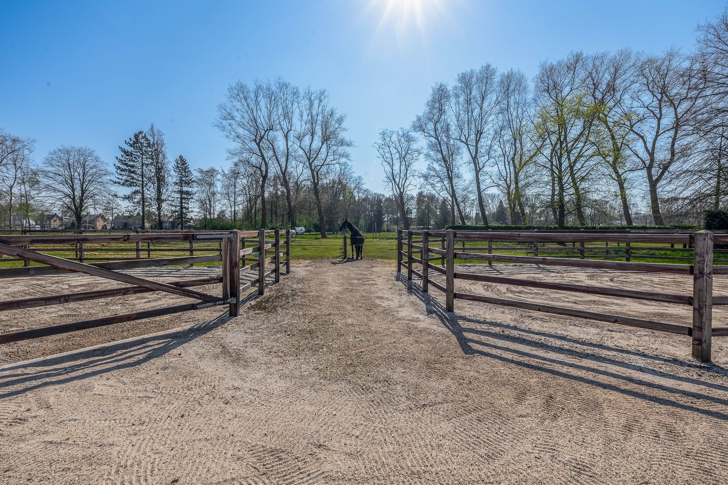 Foto 50 van Theereheide 6