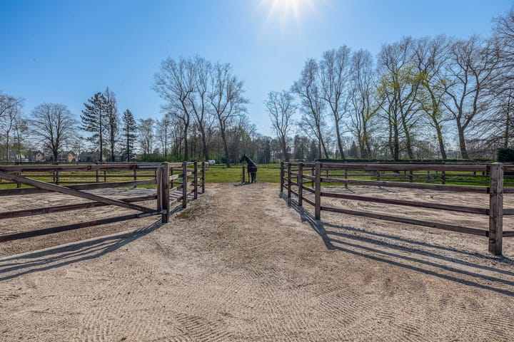 Foto 50 van Theereheide 6