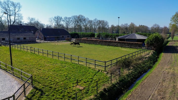 Foto 51 van Theereheide 6