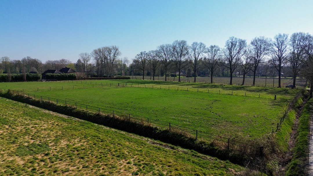 Foto 52 van Theereheide 6