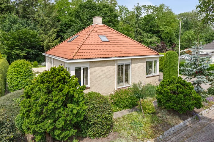 Foto 6 van De Ring 17