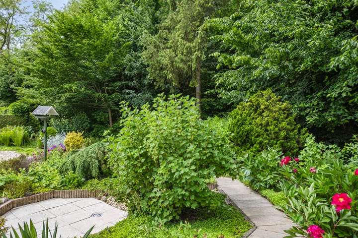 Foto 45 van De Ring 17