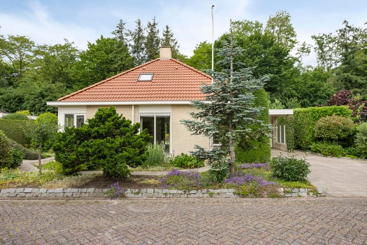 Foto 49 van De Ring 17