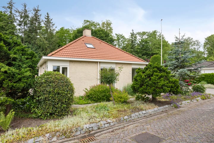 Foto 50 van De Ring 17