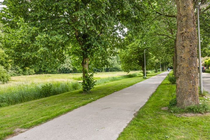 Foto 51 van De Ring 17