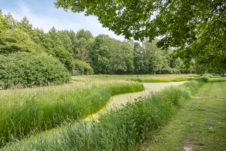 Foto 52 van De Ring 17