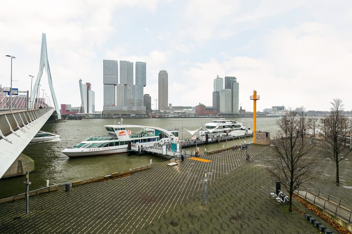 Foto 3 van Gedempte Zalmhaven 305