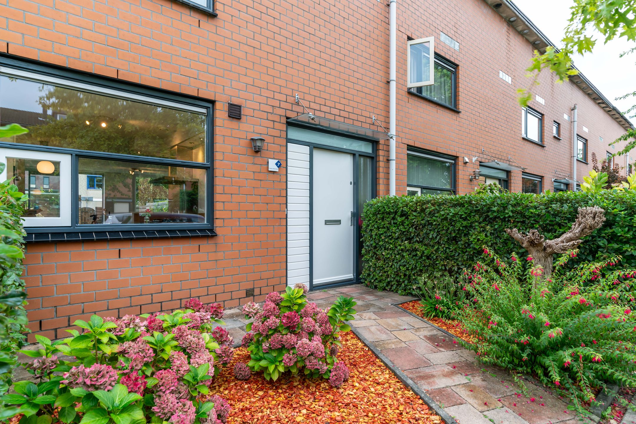 Foto 48 van Pauwmolen 7