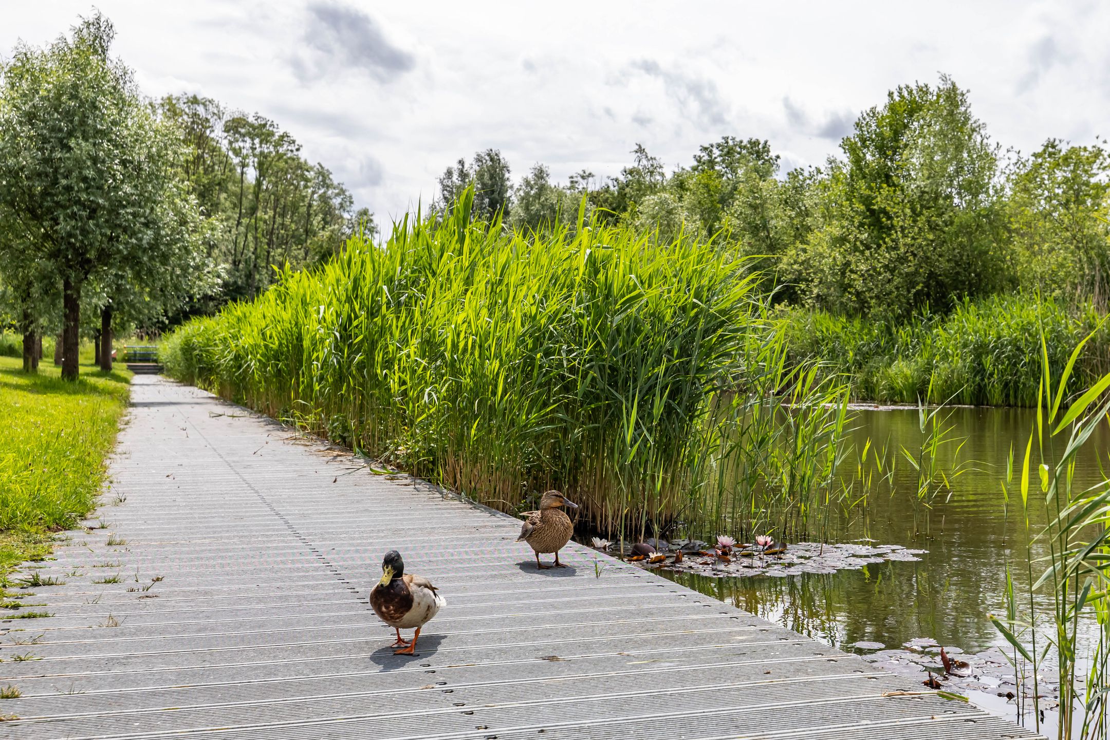 Foto 3 van Onyxstraat 20