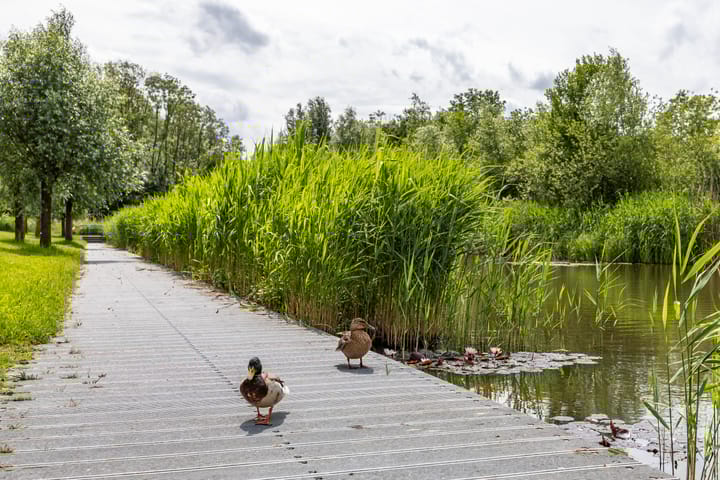 Foto 3 van Onyxstraat 20