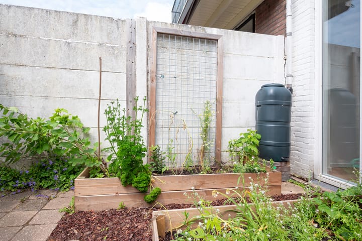 Foto 24 van Reigerstraat 136