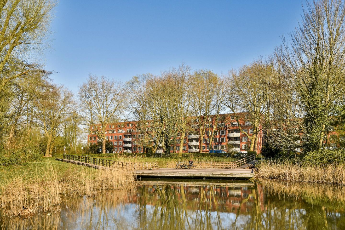 Photo 19 of Suze Groenewegplantsoen 80