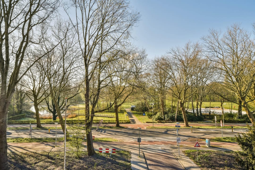 Photo 11 of Suze Groenewegplantsoen 80