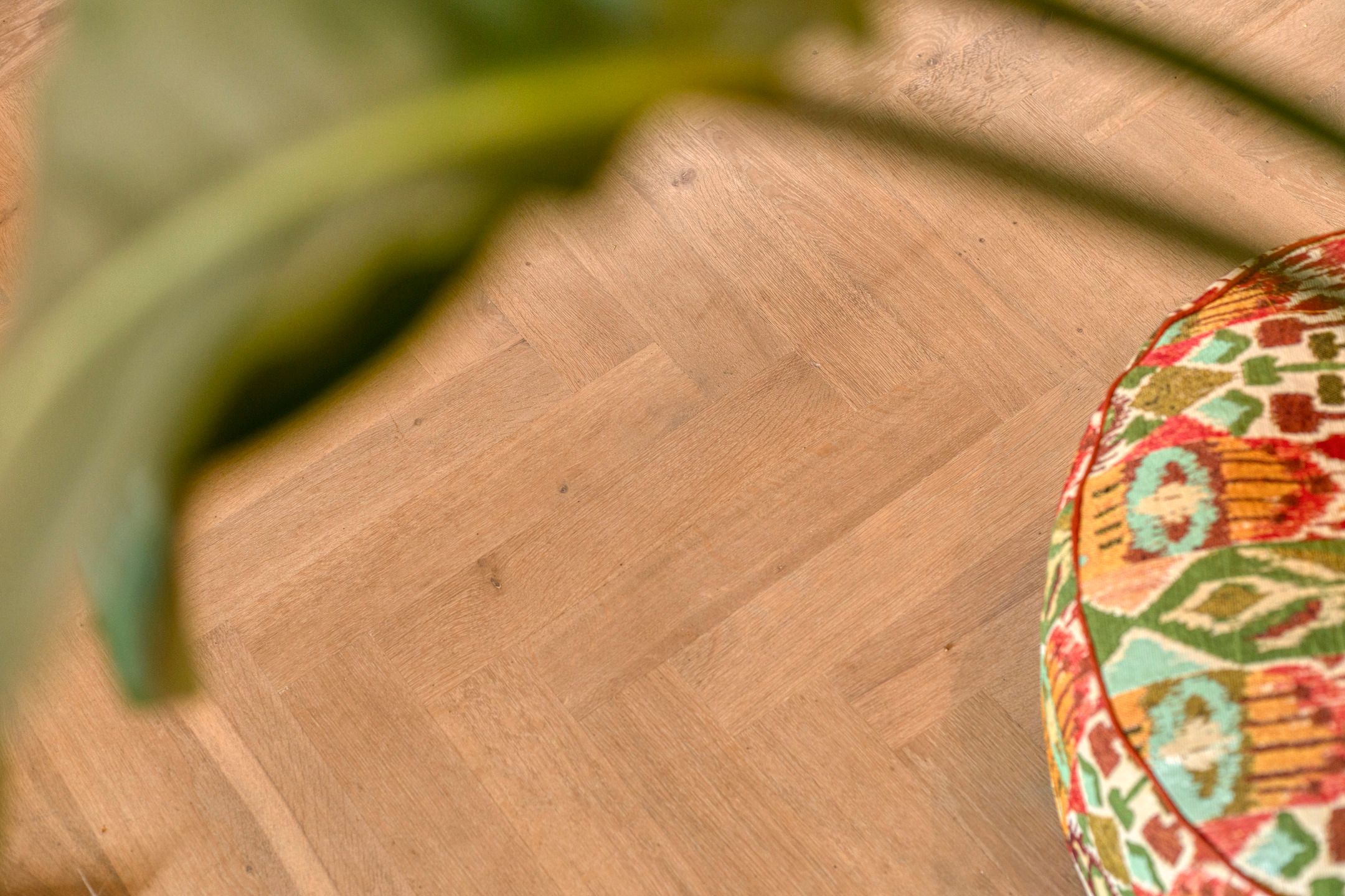 Foto 15 van Buitenweg 11