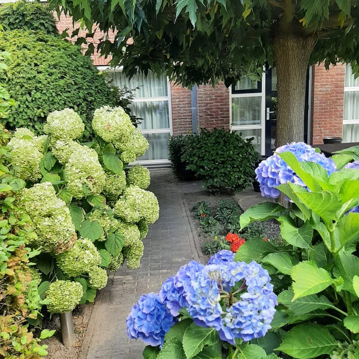 Foto 24 van Franciscuslaan 8-A