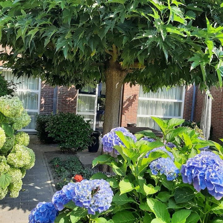 Foto 34 van Franciscuslaan 8-A