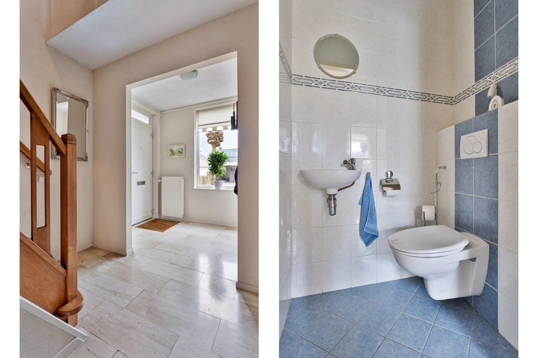 Photo 8 of Wildwal 7