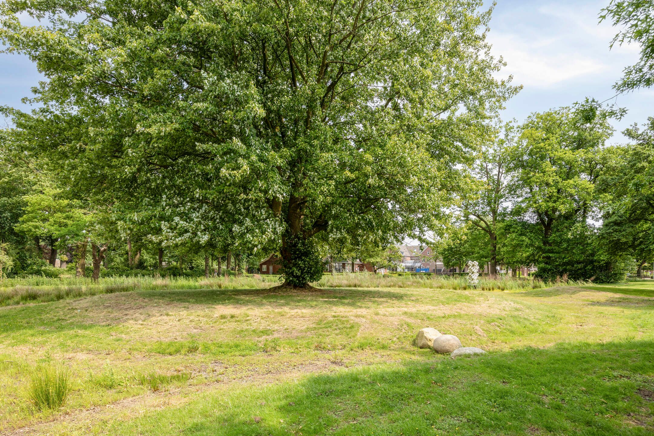 Foto 30 van Jan Petersstraat 28