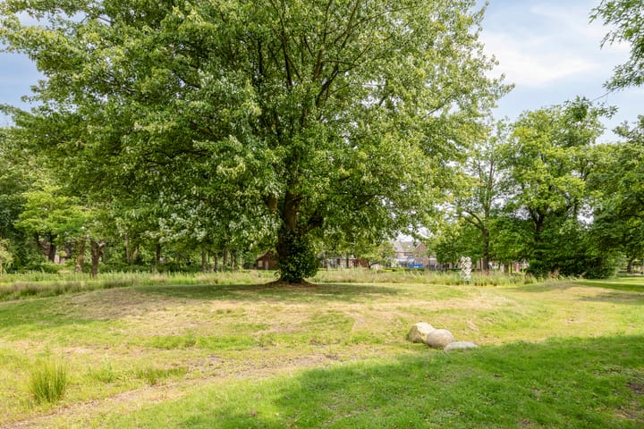 Foto 30 van Jan Petersstraat 28