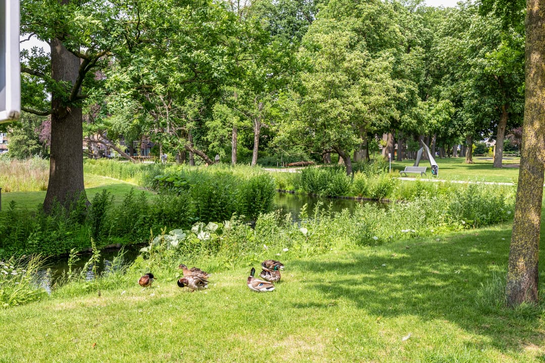 Foto 31 van Jan Petersstraat 28