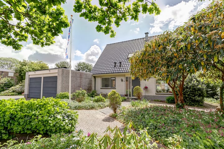 Lammerts van Buerenstraat 10