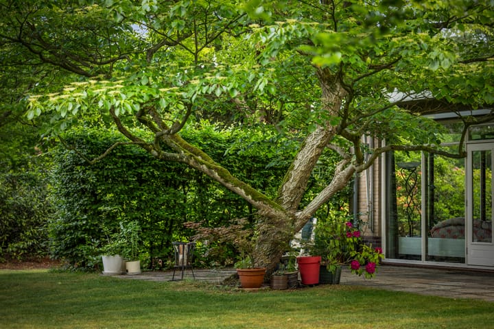 Foto 54 van Burg. Arriënsweg 19