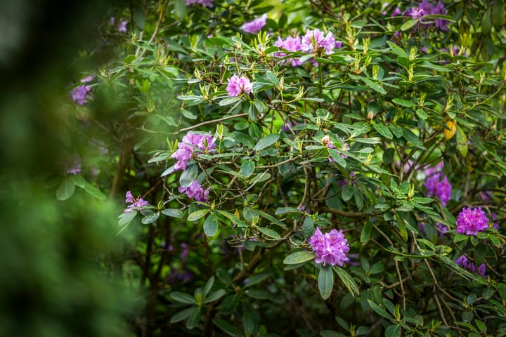 Foto 55 van Burg. Arriënsweg 19