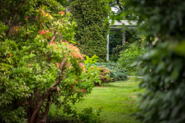 Foto 62 van Burg. Arriënsweg 19