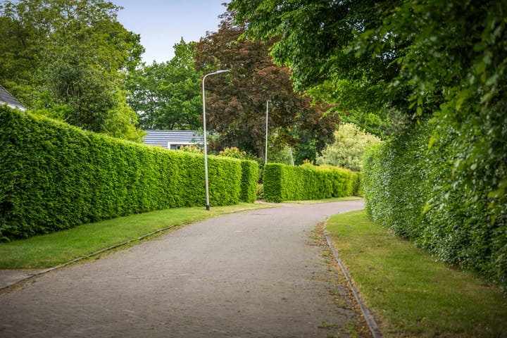 Foto 69 van Burg. Arriënsweg 19