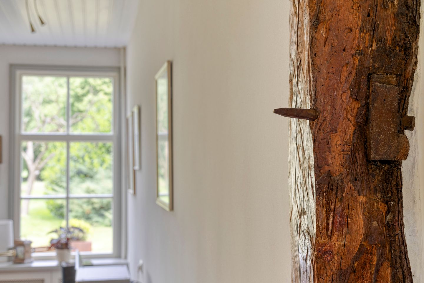 Foto 20 van Rammelbroeksweg 1