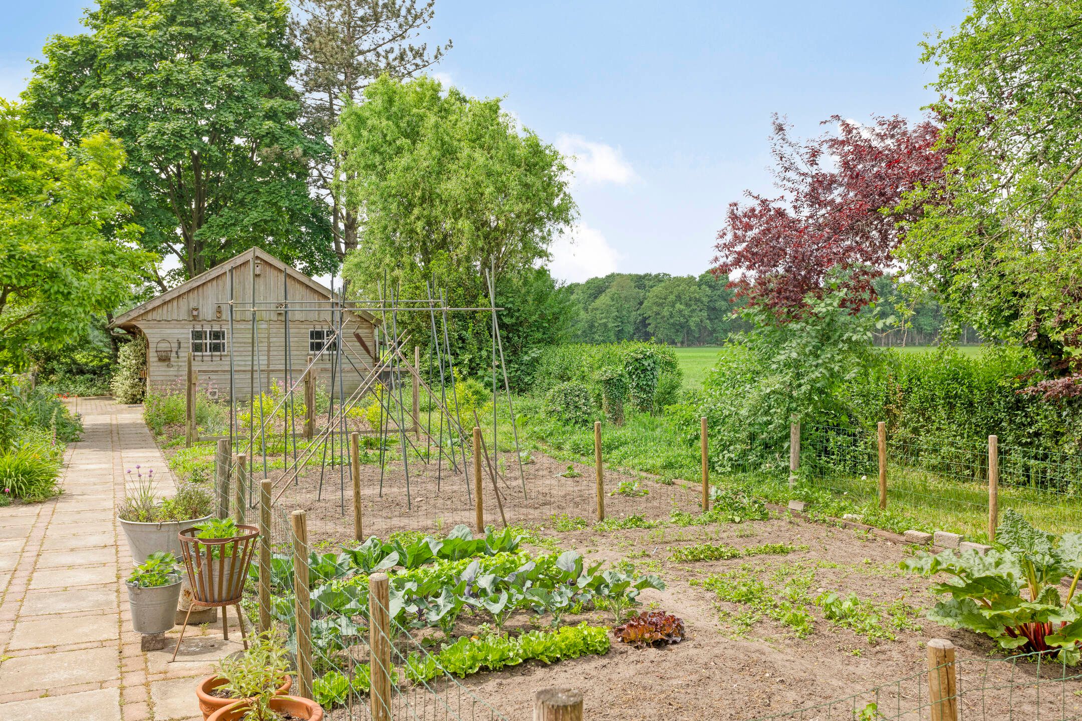 Foto 51 van Rammelbroeksweg 1