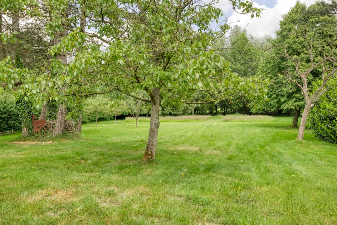 Foto 58 van Rammelbroeksweg 1