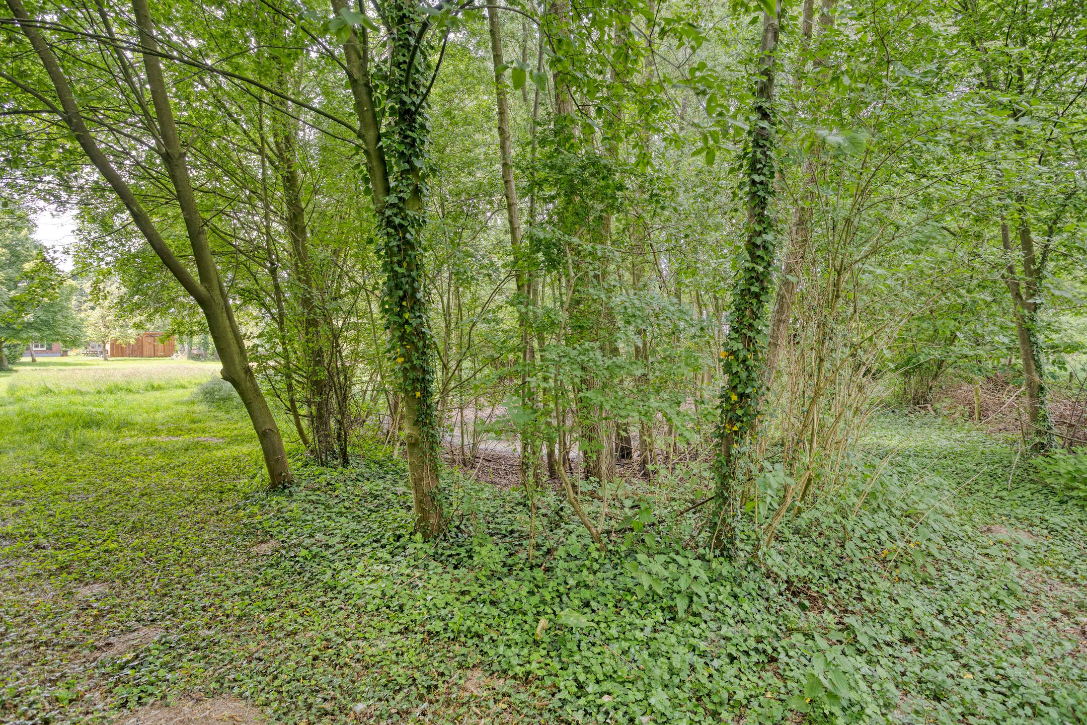 Foto 60 van Rammelbroeksweg 1