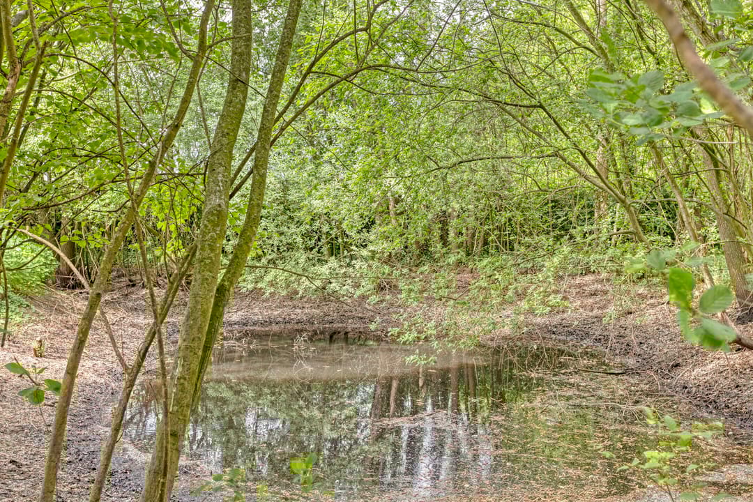 Foto 61 van Rammelbroeksweg 1