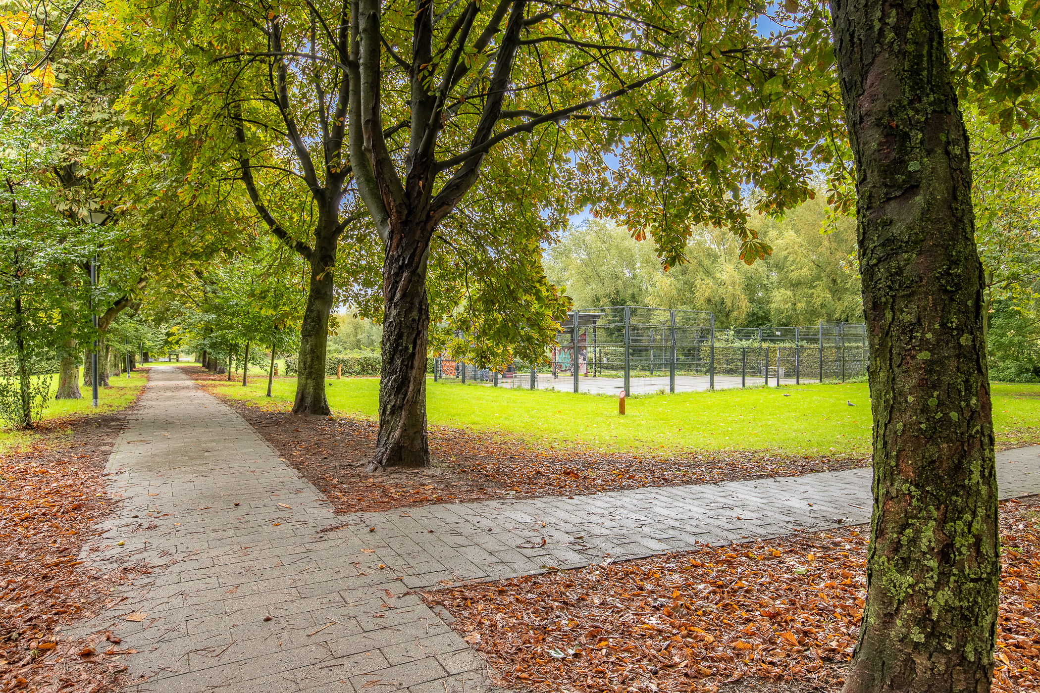 Foto 24 van 1e Spechtstraat 1-C