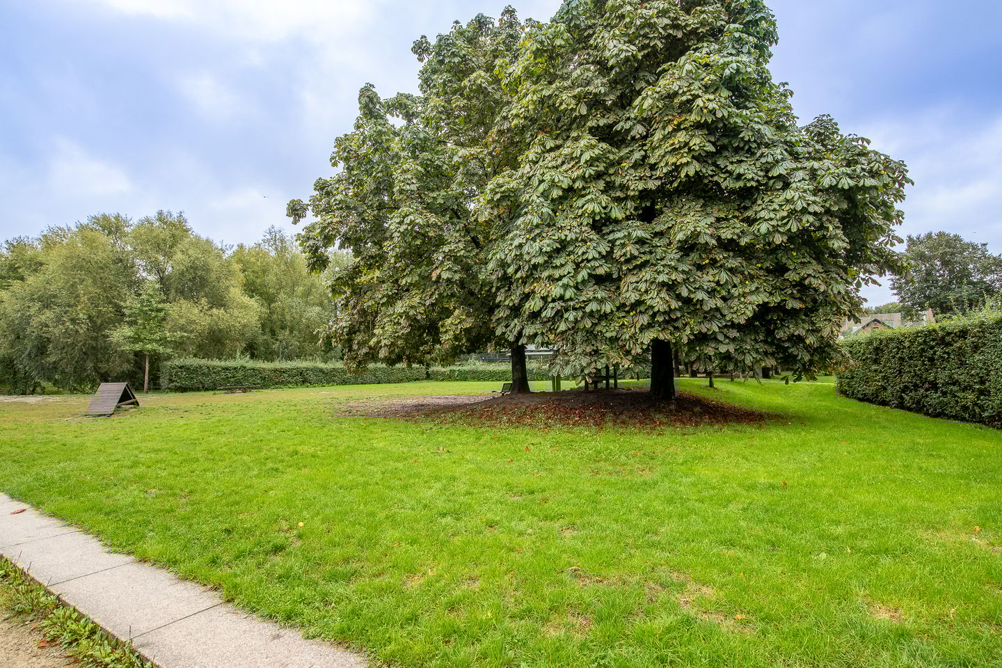 Foto 25 van 1e Spechtstraat 1-C