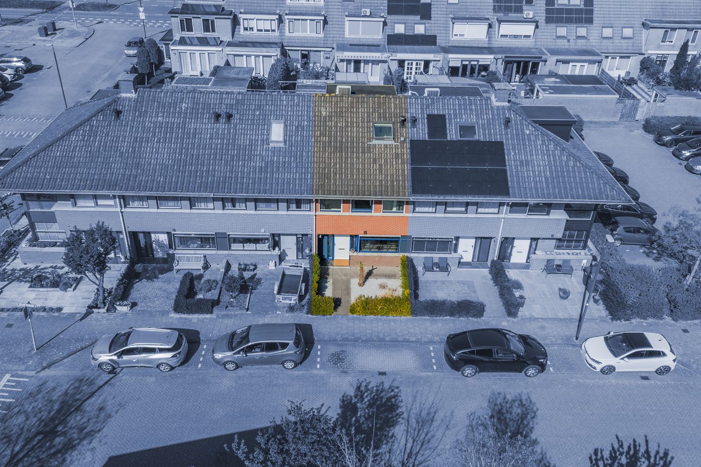 Photo 55 of Gerard Douhage 22