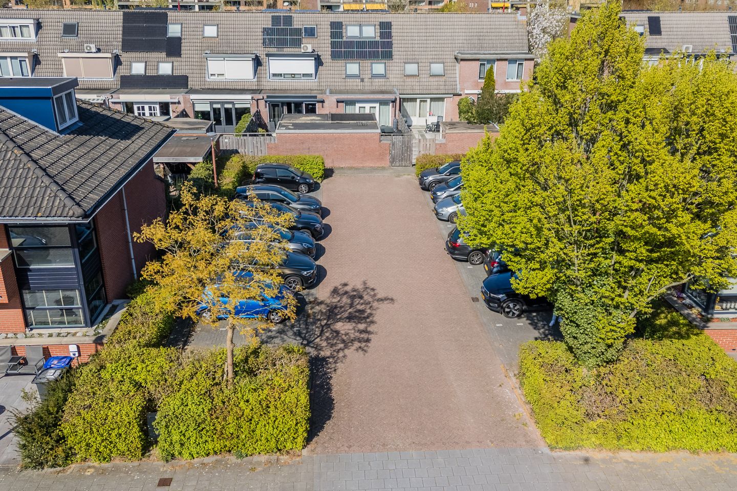 Photo 64 of Gerard Douhage 22