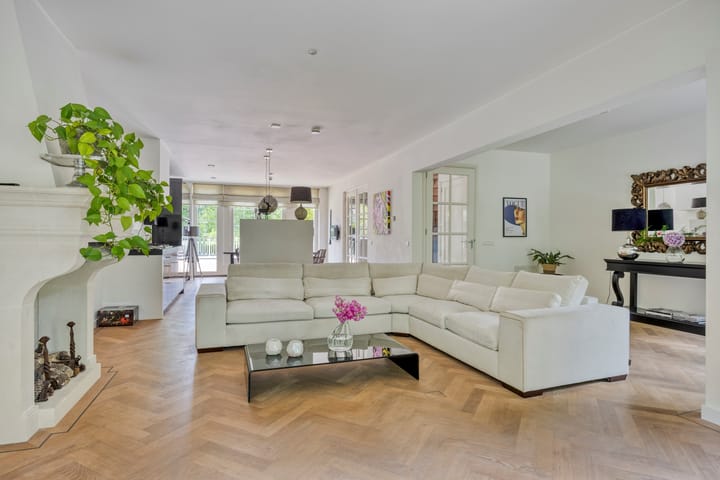 Foto 2 van Vleeresteyn 20