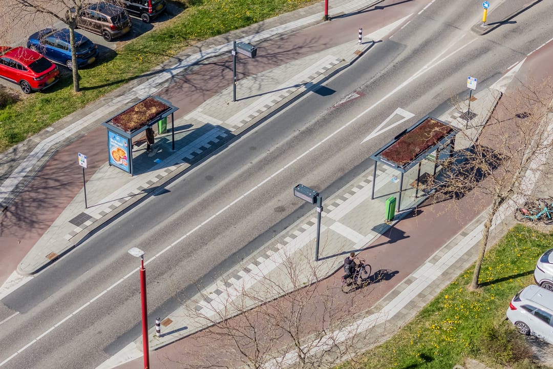 Photo 71 of Gerard Douhage 22