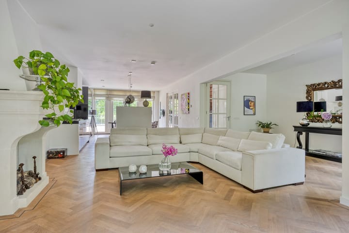 Foto 21 van Vleeresteyn 20