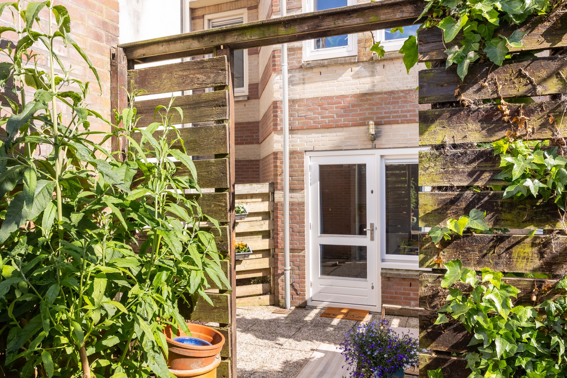 Photo 12 of Vrouwjuttenstraat 34-A